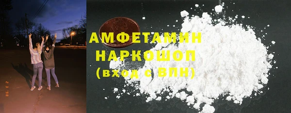 эйфоретик Гусь-Хрустальный