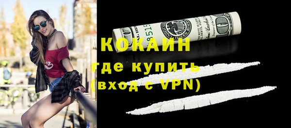 индика Дмитровск