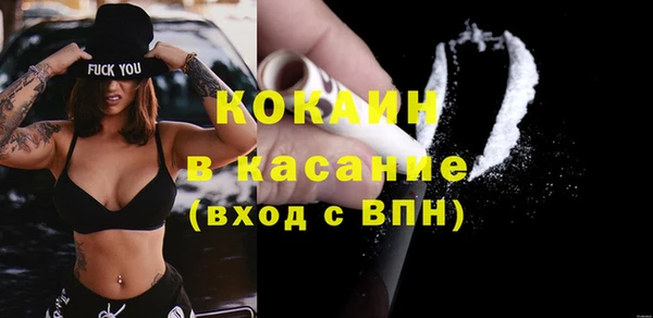 индика Дмитровск