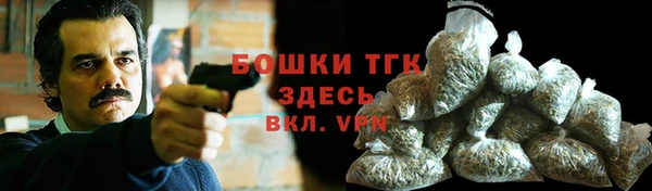эйфоретик Гусь-Хрустальный