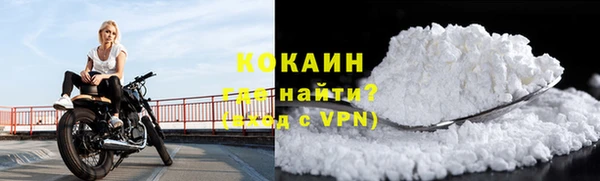 твердый Гусев