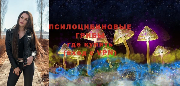 твердый Гусев
