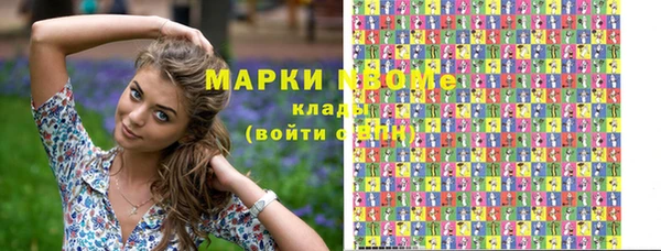 эйфоретик Гусь-Хрустальный