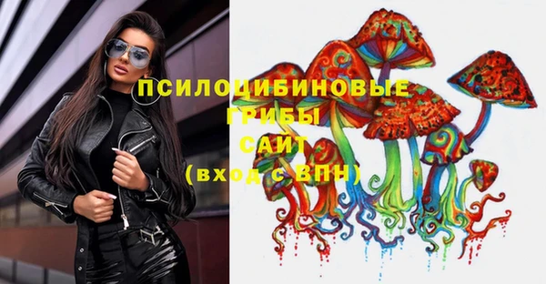 mdpv Гусиноозёрск