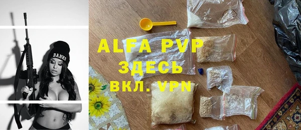 ПСИЛОЦИБИНОВЫЕ ГРИБЫ Дмитров