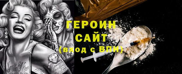 твердый Гусев