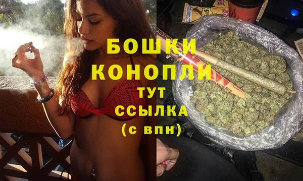 экстази Дмитриев