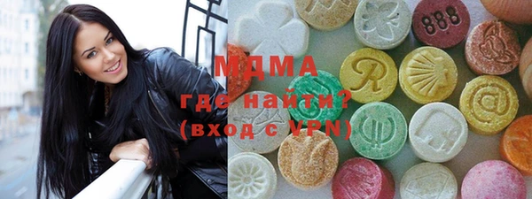 твердый Гусев