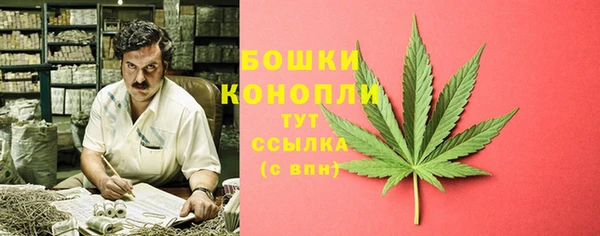 шишки Весьегонск