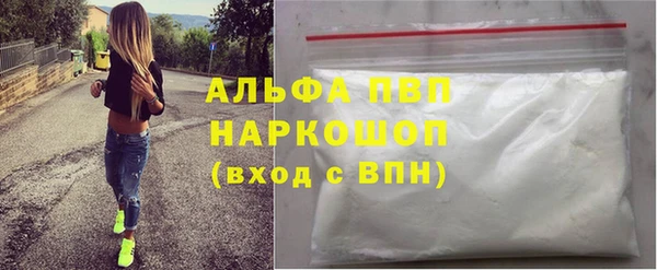 индика Дмитровск