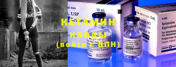 твердый Гусев