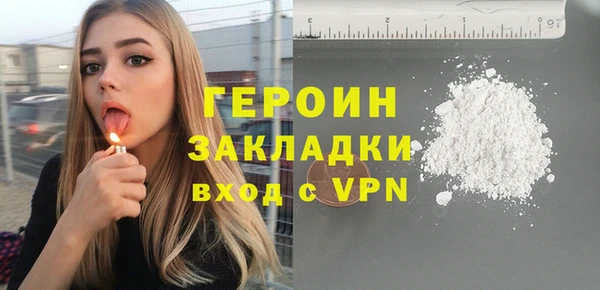 твердый Гусев