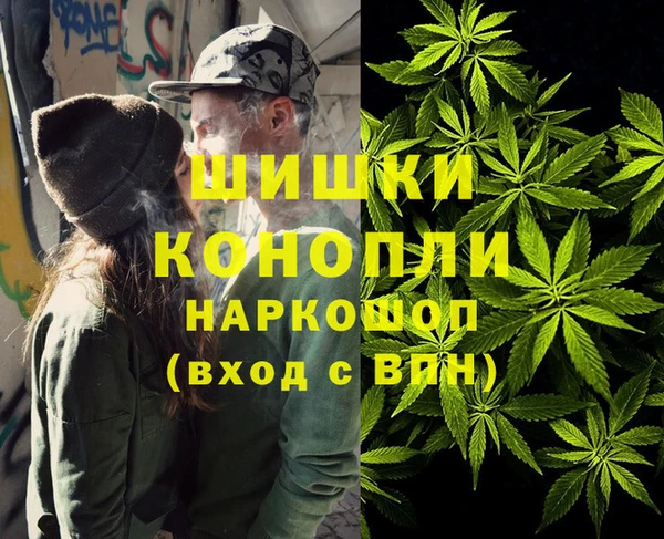 твердый Гусев