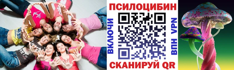 Псилоцибиновые грибы Cubensis где купить наркотик Заволжье
