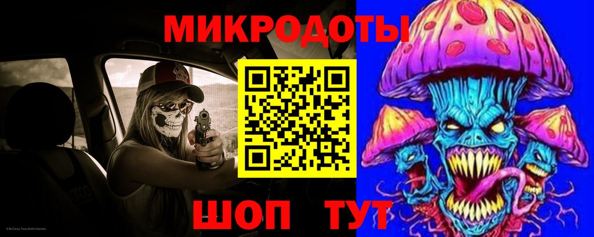 Галлюциногенные грибы Psilocybe Заволжье